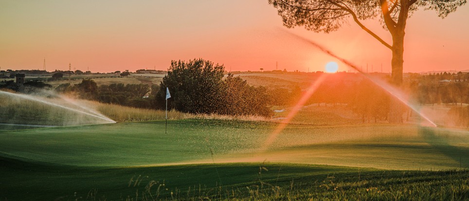 Golf field during sunset