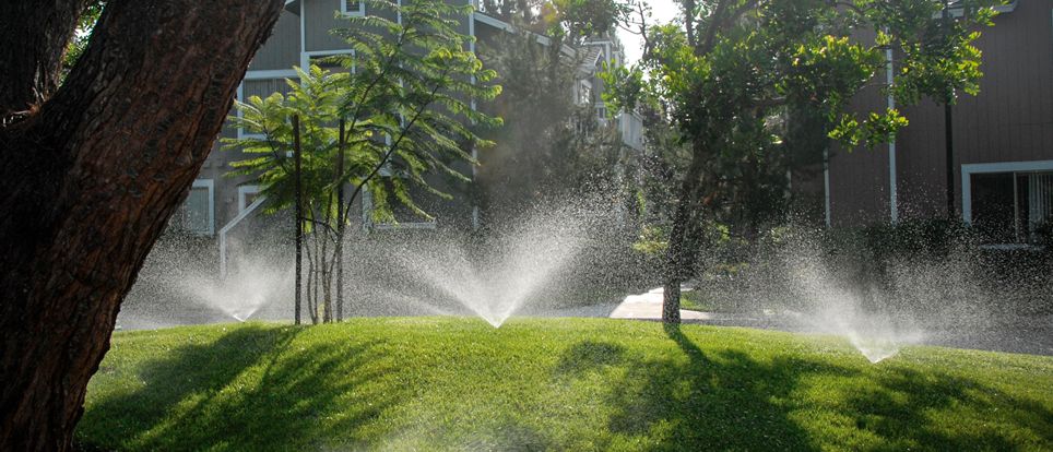 Water irrigation in golf field